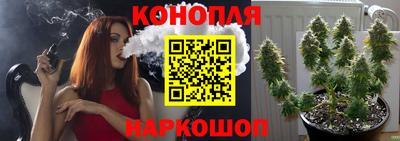 молекула духа Надым