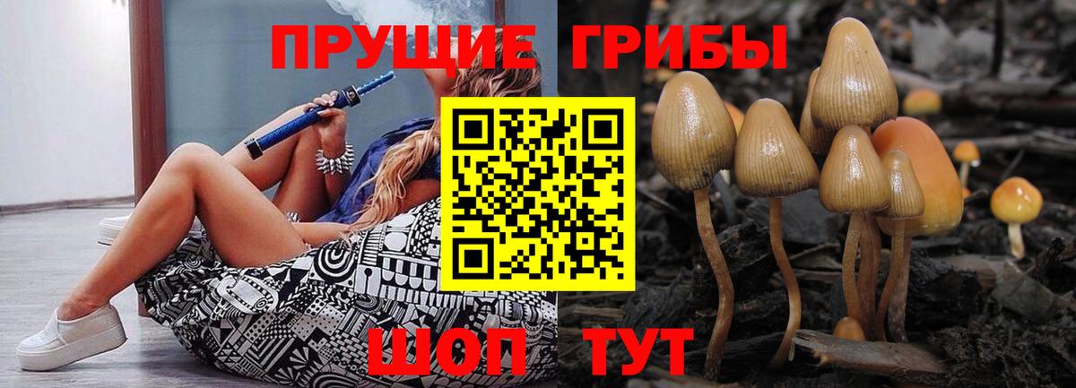 Псилоцибиновые грибы Magic Shrooms Карталы